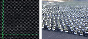 RETE AGRITELA IN ROTOLI                           