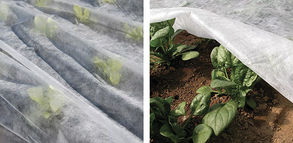 TELO PROTETTIVO AGRIVELO                          