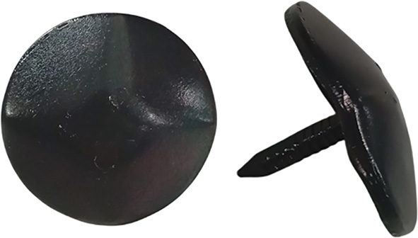 CHIODI ORNAMENTALI BRUNITI                        