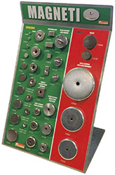 ASSORTIMENTO MAGNETI LIONS                        