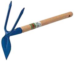 ZAPPETTA MANICATA AGEF ART.822                    