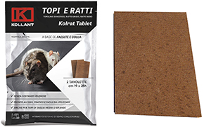 COLLA TOPICIDA KOLRAT TABLET 2 TAVOLETTE          