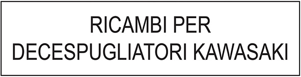 RICAMBI PER DECESPUGLIATORI KAWASAKI              