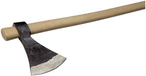 PICOZZINO RINALDI MANICATO ART.303                