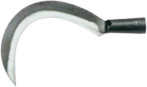 RONCOLE A PERTICA ALDE'                           