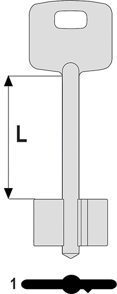 CHIAVI SICUREZZA D.MAPPA CISA 00100.00            