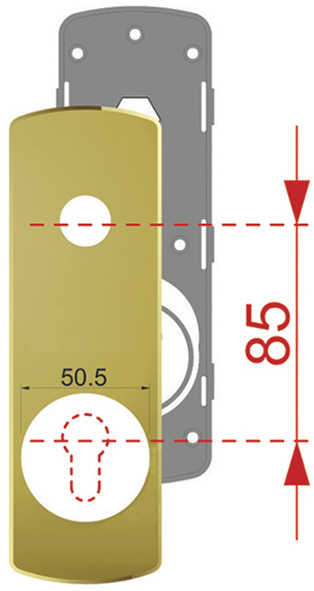 PLACCHE DISEC KI2115P MANIGL. + PROT.CIL.         