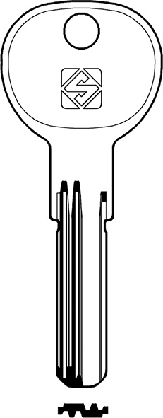 CHIAVI PUNZONATE ZH1R                             