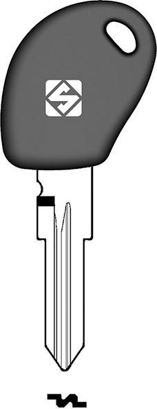 CHIAVI AUTO TRANSPONDER GT15RBTE                  