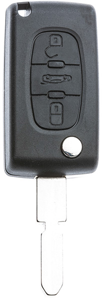 GUSCI CHIAVI AUTO NE78BRS8                        